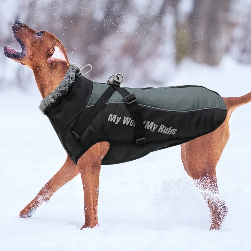 Waterproof Large Dog Coat