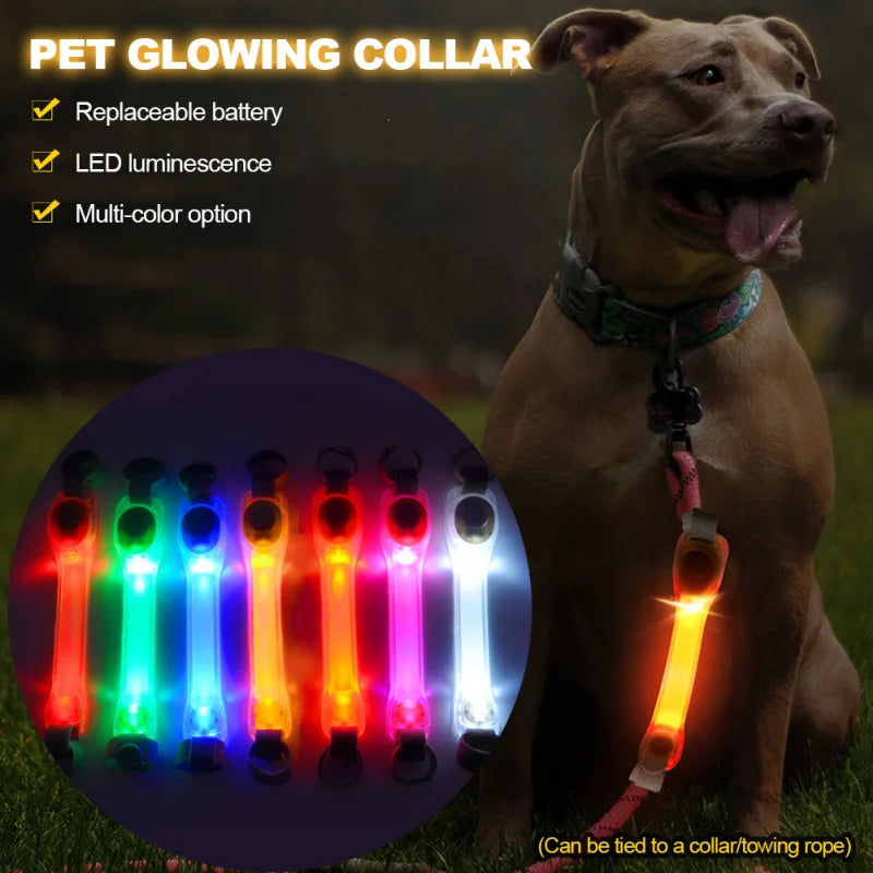 LED Pet Safety Band – Durable, Waterproof, and Multi-Use Glow Strap