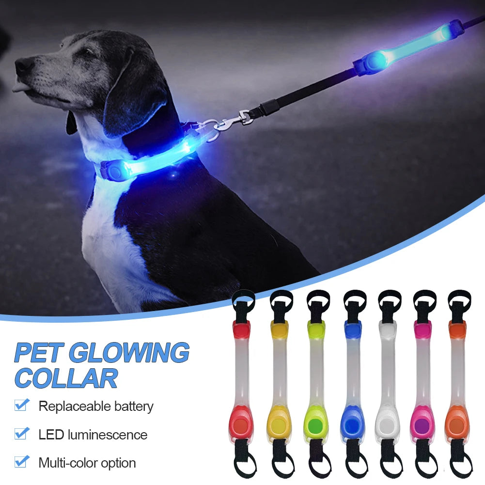 LED Pet Safety Band – Durable, Waterproof, and Multi-Use Glow Strap