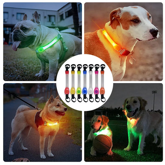 LED Pet Safety Band – Durable, Waterproof, and Multi-Use Glow Strap